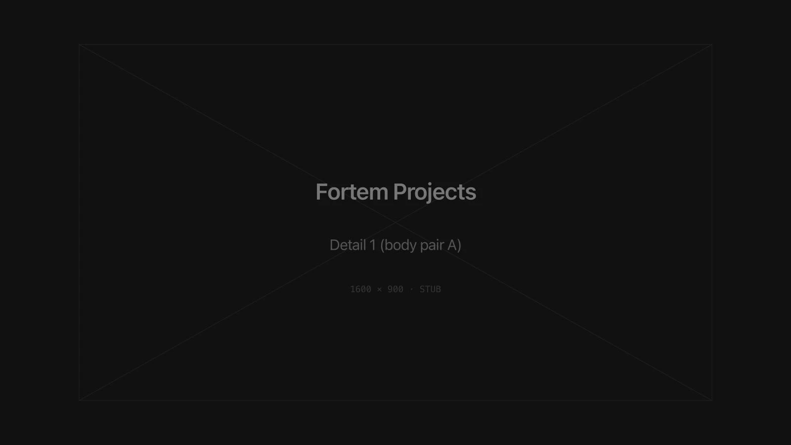 Fortem Projects detail image 1